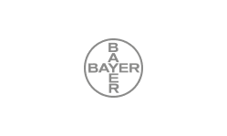 Bayer